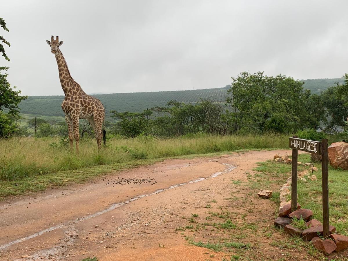 Ndhula Luxury Tented White River