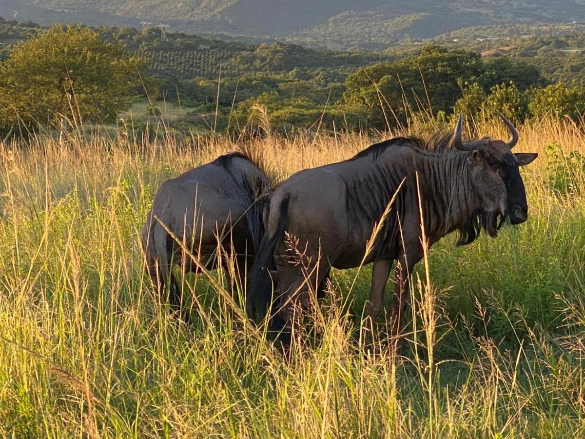 Ndhula Luxury Tented Lodge *