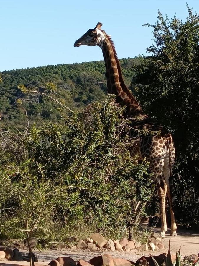 Ndhula Luxury Tented Lodge